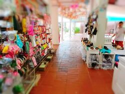 264 SERANGOON CENTRAL (D19), Shop House #582648161